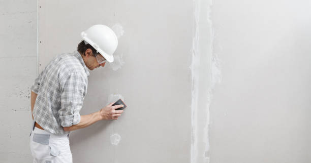 Dry wall and painting